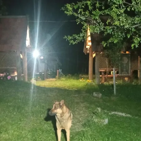 Lisin